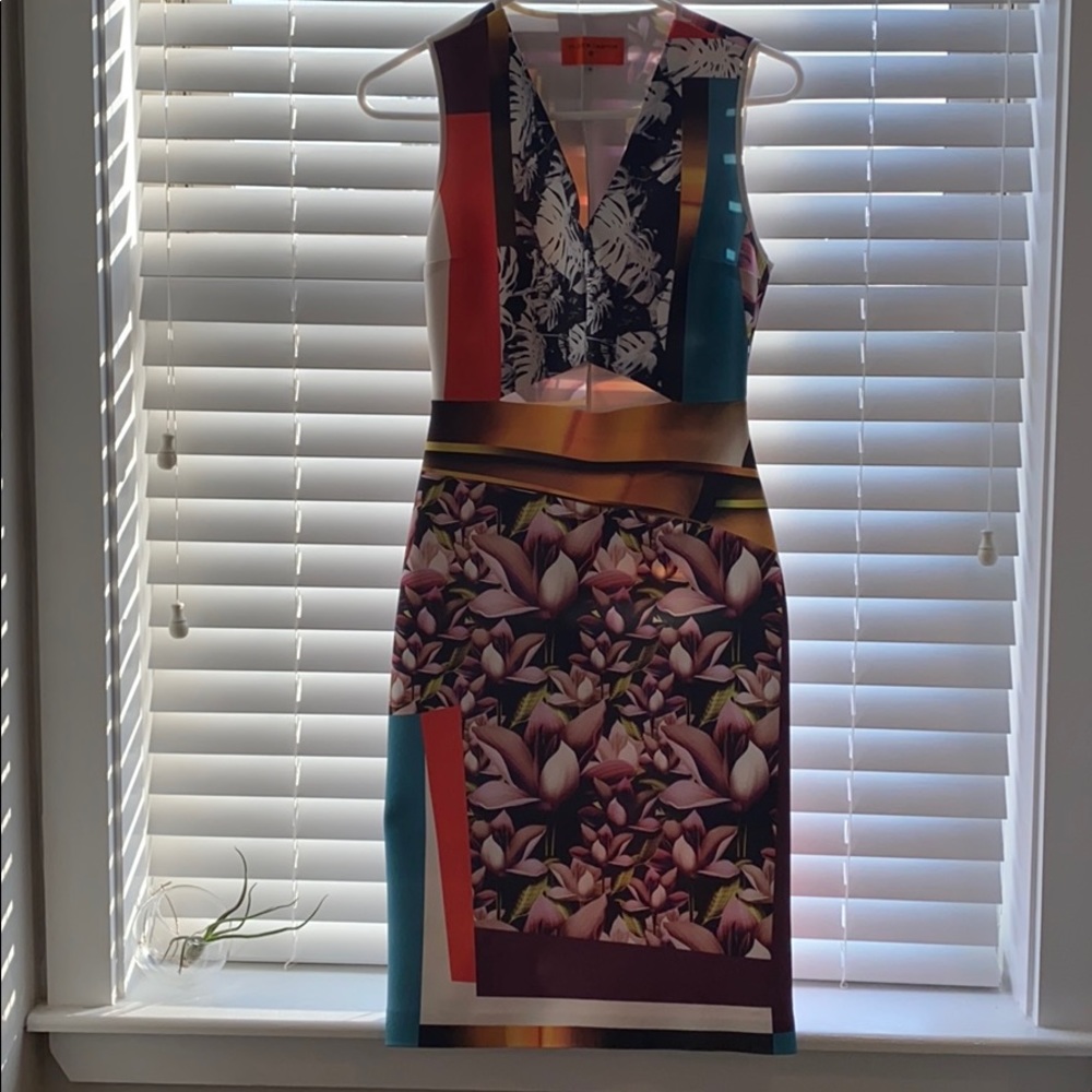 Clover Canyon Midi Dress with cutout